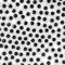 TOAOB 300 Stück Selbstklebend Wackelaugen Runde Schwarz Weiß 12mm Kunststoff Augen für Scrapbooking Kunsthandwerk Zubehör