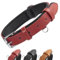 Grand Line Collier de Chien Ajustable Coussin Moelleux Cuir Rembourré avec Perforatrice 3 Couleur 4 Tailles, Rouge(L)