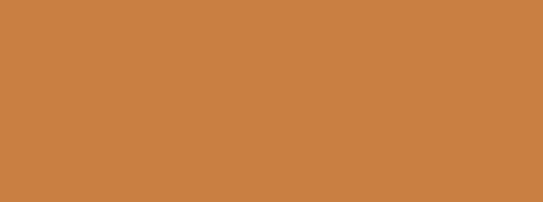 Caparol CaparolColorSystem Vollton & Abtönfarben Innen/Außen 250 ml Farbwahl, Farbe:Cognac