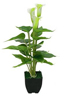 Europalms Mini Calla, Kunstpflanze, Weiß, 43 cm
