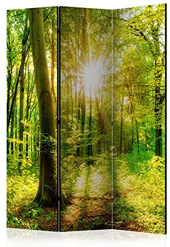 murando - Paravent intérieur Acoustique 135x172 cm - Séparateur de pièce avec Isolation phonique, Panneau insonorisant pour Bureau -des Arbres forêt Paysage Plantes b-B-0383-z-b