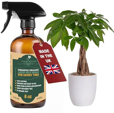 GARDENNOVA Professional Organic Liquid Kelp Spray for Money Tree Plants - 8 oz - Ready-to-Use Fully Organic Seaweed & Kelp Fertilizer Mist