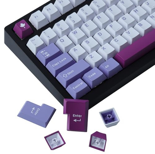 Keycap, 172 tasti Cherry Profile Double Shot Keycaps Set con 2.75u, 3u, 6.25u e 7u barra spaziatrice per switch Cherry Mx Tastiera Meccanica Layout ISO/ANSI