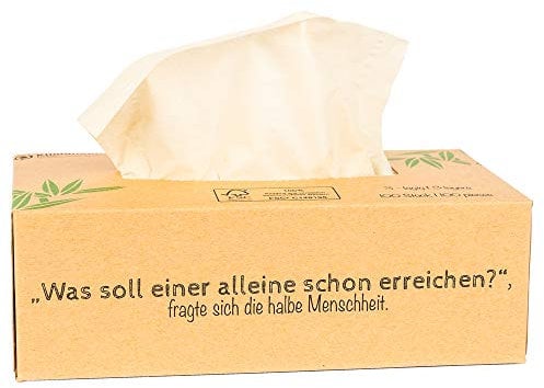 pandoo 100% Bambus Taschentücher | Holzfreies Taschentuch in plastikfreier Verpackung | Kosmetiktücher Box Spender | 100 Blatt - 3-lagig | Perfekt für jede Nase | (1 Stück)