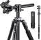 K&F Concept 67 inch Camera Tripod Horizontal Aluminum Tripods Portable Monopod with 32mm Ball Head 12KG Load Capacity Quick Release Plate, for Travel and Work T255A4+BH-32L(Gray)