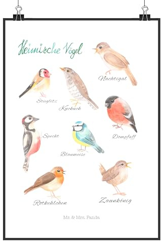 Mr. & Mrs. Panda Bild Heimische Vögel DIN A3 - Geschenk, Wanddekoration, drucke, Wandbild, Kunstdruck, Dekoration, wanddeko