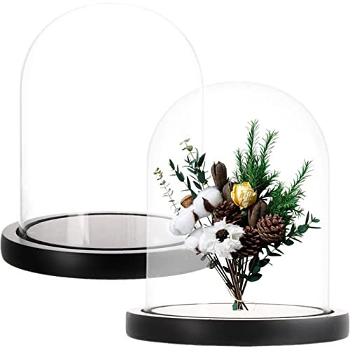 ZOOFOX Set of 2 Glass Dome Cloche with Black Wooden Base, 5.7 x 6.5 Decorative Bell Jar Display Dome for Plants, Fairy Lights, Photos, Succulents and Medals