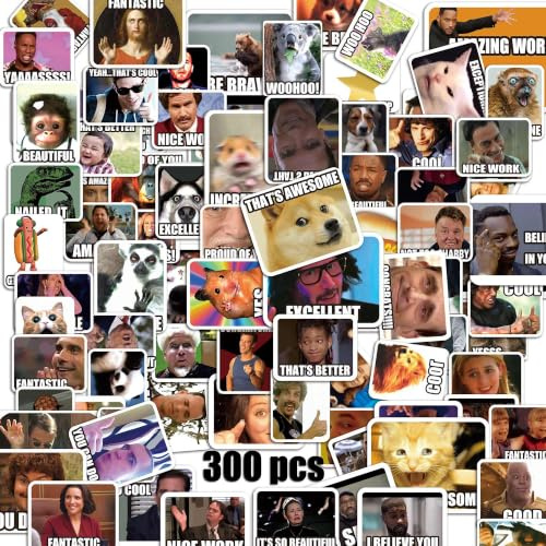 300 lustige Meme Sticker, wasserfeste Vinyl-Aufkleber | Lehrer Meme Sticker für Kinder, Jugendliche und Erwachsene. Ideal als Belohnungssticker für Laptops und Trinkflaschen.
