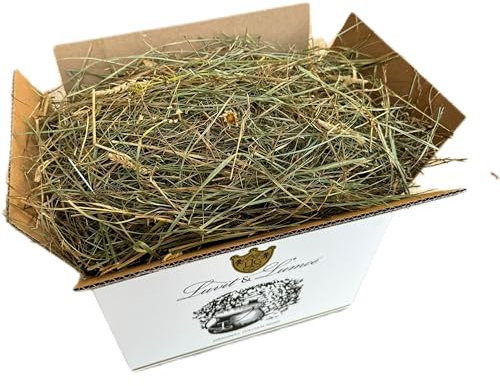 Luvit & Lumoè | Fieno per conigli nani |1,5Kg| Borsa Fieno 100% naturale | Alimento per Porcellini d’india - Cincillà - Piccoli roditori | Balla fieno italiano di prato di montagna asciugato al sole.