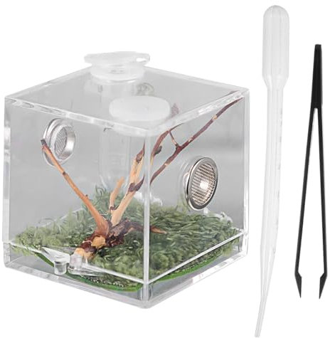 Garneck 2×2in Springspinne Terrarium Set - Transparentes Acryl Terrarium Für Springspinnen - Insekten Und Reptilien Inklusive Fütterungszange Und Pipette Ideal Für Zucht Und Haltung