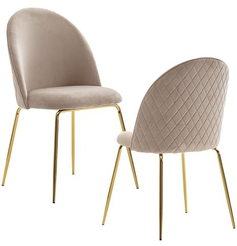 FineBuy Design Esszimmerstuhl 2er Set Samt Gepolstert, Küchenstuhl Stoff mit Goldenen Beinen, Schalenstuhl Skandinavisch, Polsterstuhl mit Samtbezug