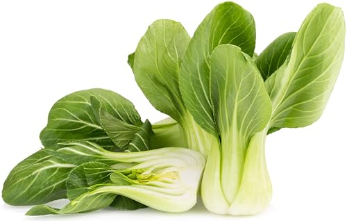 1000 Baby Bok Choy Seeds - Shanghai Green Stem - Heirloom Non-GMO Vegetable Seeds for Planting - AKA Pak Choi, Pok Choi, Chinese Cabbage