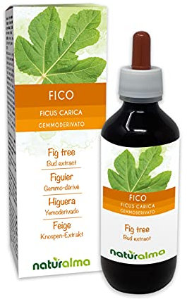 Feige (Ficus carica) Alkoholfrei Knospen-Extrakt aus frishen knospen Naturalma - Flüssig-Extrakt Tropfen 200 ml - Nahrungsergänzungsmittel - Veganer