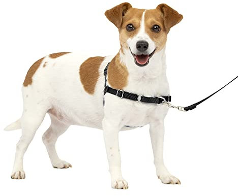 PetSafe Easy Walk Hundegeschirr, kein Ziehen, das ultimative Geschirr, um das Ziehen zu stoppen, übernimmt die Kontrolle und lehrt bessere Manieren der Leine, verhindert das Ziehen von Haustieren bei