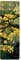 Bilderwelten Garderobe Wald 105cm x 34cm Baum Gelb Kunst Motiv Modern Garderobenhaken Garderobenpaneel Flurgarderobe Flur-Möbel Wandgarderobe Holz