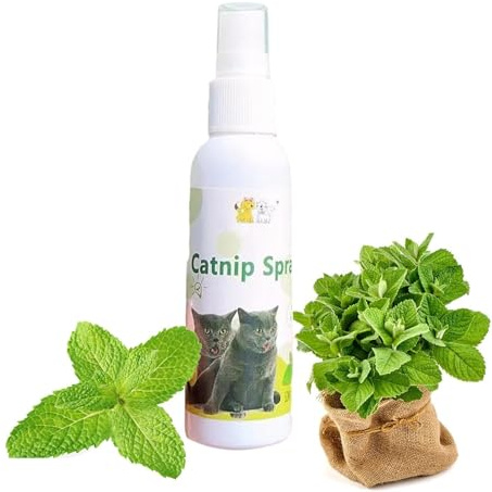 Rakiuty Spray di erba per gatto,Spray di erba per gatto,Erba gatto gioia spray,Spazio di vita felice per il tuo gatto,100% naturale, 50ml