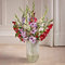 Gladiolenzwiebeln MehrjäHrig Winterhart Blumenzwiebeln Gladiolen Zwiebeln Balkon Blumen Gartenpflanze Winterharte Gladiolen Blumen Garten Bodendecker Balkonpflanzen Blumen 15 Gladiolen Zwiebel