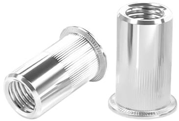 Qrity 20 Pezzi Rivetto a Testa Piatta, Dado per Inserti in Acciaio Inossidabile, Dado a Testa Piatta Rivetto, M10 Dadi Rivetti