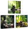 CCWACPP Zen Leinwand Wanddekoration 3 teilig Bambus Spa Bilder Zen Steine Kerzen Malerei Buddha Druck Badezimmer Schönheitsbehandlung Meditation Raumdekoration gerahmt (50x50cmx3)