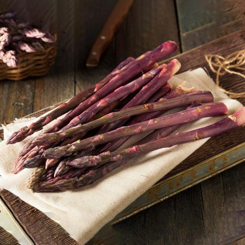 300 pcs spargel samen winterharte pflanzen für garten gartenpflanzen gemüsesamen alte sorten pflanzensamen stauden winterhart mehrjährig pflanzen garten stauden gemüse samen geschenk