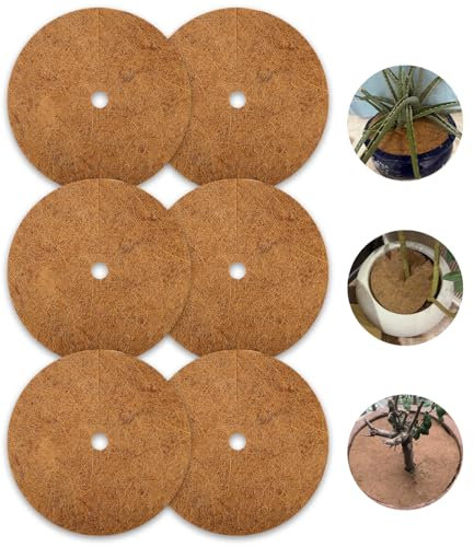 6 Stück 35cm Kokosmatten, Kokos-Mulchscheibe Kübelabdeckung Winterschutz für Pflanzenschutz und Winterschutz, Nachhaltig Pflanzenschutz, Kokosmatte Winterschutz für Pflanzen Coconut Mulch Disc