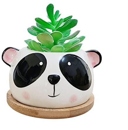 Cuteforyou Sukkulentententöpfe, niedliche Tierform, Cartoon-Kaktus, Keramik-Pflanzgefäße mit Bambus-Tablett, Pflanze nicht im Lieferumfang enthalten (Panda)