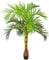 Decovego Palmizio Palma Areca Pianta Albero Artificiale 180cm