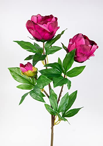 Pfingstrose Nature 68cm Fuchsia GA Kunstblumen Seidenblumen künstliche Blumen Päonie
