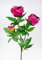 Pfingstrose Nature 68cm Fuchsia GA Kunstblumen Seidenblumen künstliche Blumen Päonie