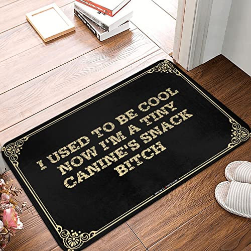 Dsoluuing Personalized Welcome Mat I Used to Be Cool Now I'm A Tiny Canine'S Snack Doormat Home Alone Door Mat Playroom Furniture (Color : Colour, Size : 40X60CM)