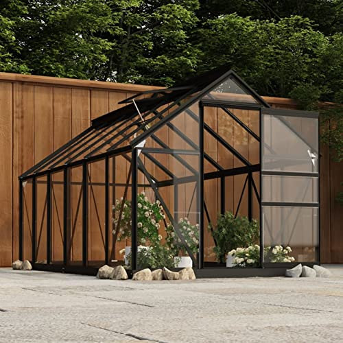 Vopese Invernadero de Vidrio Gris Antracita Aluminio 155x298x191 cm Invernadero de Jardín Terraza Tipo Caseta Vivero Casero para Cultivo Plantas Flores Tomates
