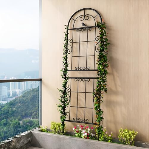 GUOGLZ Garten Rankgitter 185x52cm Kletterhilfe Für Pflanzen Rankhilfe Aus Metall Für Tomaten, Gemüse Blumen Pflanzkasten Blumenkübel(Schwarz)