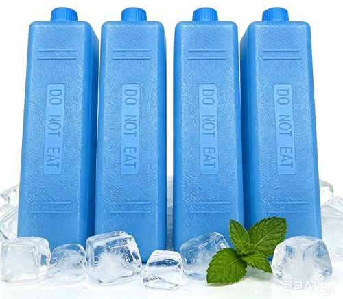 Ceyvanoa Ice Packs for Cool Box, 4 Pieces Air Conditioner Fan Ice Crystal Box, Small Size Reusable Ice Cubes for Lunch Bag, Cooler, Portable AC, Camping, Picnic, Fishing