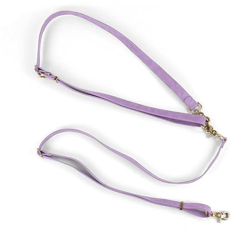 Fine Paws® Freihandleine mit Halsband - Hands Free Leash (in verschiedenen Größen) Hundeleine mit Halsband und extra Handschlaufe im Set (aus veganem Leder)