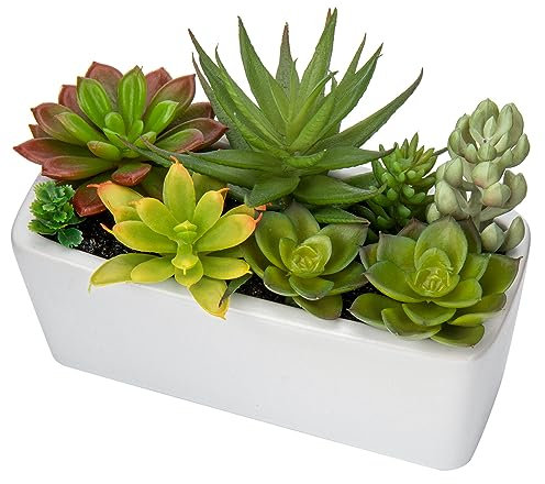Briful Artificial Succulent Plants Faux Succulents in White Ceramic Pot, Fake Plants Artificial Succulents Potting Mix Artificial Plants in Pot for Office Home Bathroom Shelf Decor