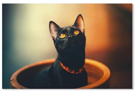 Puzzle en Bois,Chat Noir,1000 Pièces Puzzles Jeu De Jouets Interactifs, Scies Sauteuses Classiques(75x50cm-H54