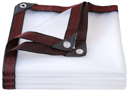 ALI2 Lona Transparente Exterior Protectora Con Ojales - Impermeable Con Cuerda de 6 m (2 x 5 m)
