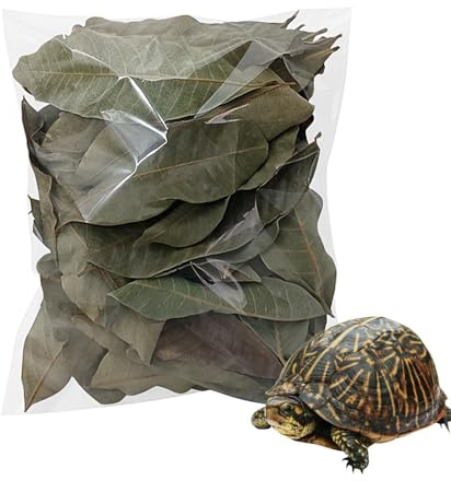 Yaztauho Laubstreu Für Reptilien | 50 Stück Natürliches Haustierzubehör - Schildkröten Einstreu Blatt | Für Geckos Frösche Fische Schlangen Zuhause Innen Außen Lebensräume Wasser Kleintiere