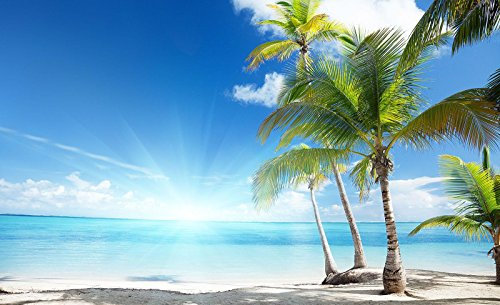 Forwall - Vlies Fototapete Strand Meer Palmen Karibik Landschaft 312x219 cm - Fototapeten - Tapeten - für Wohnzimmer Schlafzimmer - Vliestapete Wandtapete Tapete 3D Effekt- inkl. Kleister