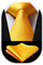 Enlision Gold Seide Krawatte Herren Hochzeit Krawatten und Einstecktuch Set einfarbig