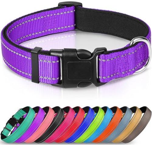 Joytale Collar Perro Reflectante,Nylon Collar Acolchado con Neopreno,Ajustable para Perros Grande,40-60cm,Morado