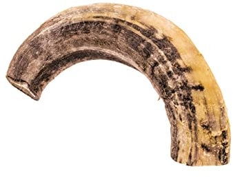 Doodle's Deli Air Dried Ram Horn 1kg