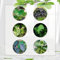 100 Pcs Elefantenohr Pflanze - Leucocasia Gigantea - Geschenke Für Gärtner, Gartendeko Für Draußen Colocasia Gigantea Samen, Gartenpflanzen Winterhart, Wohnzimmer Pflanzen Deko Wohnzimmer