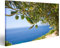 islandburner Bild Bilder auf Leinwand ein Olivenbaum auf dem Seehinterund Wandbild, Poster, Leinwandbild OOU