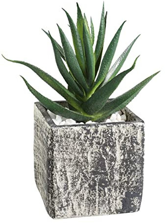 EGLO LIVING Kunstpflanze Chitose, künstliche Zimmerpflanze im Topf, naturgetreue Deko Pflanze für Wohnzimmer, Sukkulente aus Kunststoff in Grün und Paper Pulp in Grau, 13 cm