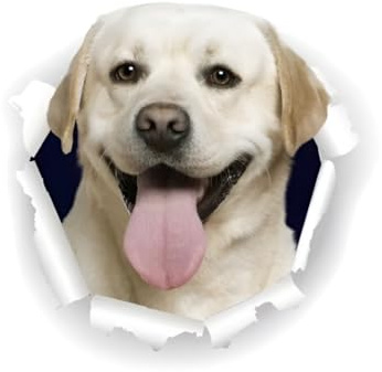 Autoaufkleber Labrador Aufkleber 18cm(7.1 Inch) White Labrador Car Sticker Lustig Weiß Labrador 3D Zerrissen Reflektierende Autoaufkleber Stoßstange Personalisieren Lustig Dekor
