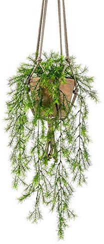 artplants.de Artificial hanging basket SILIJA with asparagus sprengeri, green, 30/75cm - Artificial trailing plant/Silk foliage