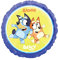 SD-C: BLUEY