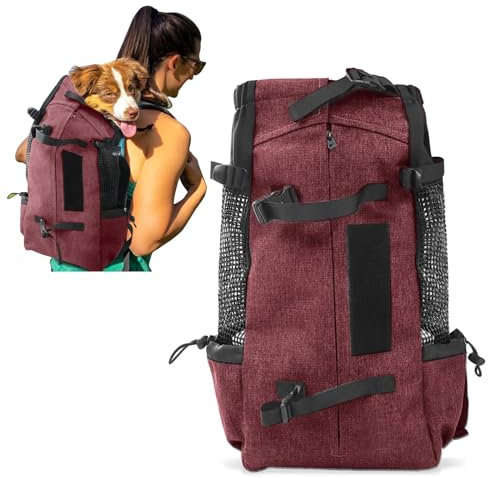 PETCUTE Hundetasche Hundetransporttasche Tragetasche für Hunde Katzen Wanderrucksack Seite Atmungsaktives Netz Rucksack für Mittel Hunde Katzen bis zu 10 kg Rot
