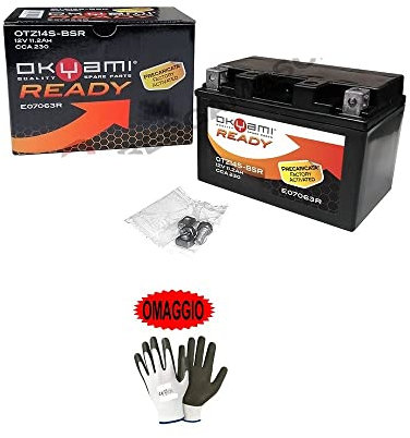 Compatible avec Benelli TNT Café racer 1130 2005-2008 Batterie déjà prête à recharger scellée OKYami OTZ14S-BSR batteries actives 11,2 Ah ampères 12 V 150 x 87 x 110 mm